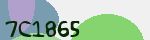 Mã bảo mật